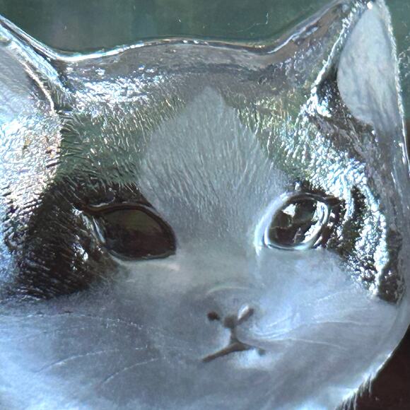 Vintage Clear Glass Cat Face Paperweight, Frosted Intaglio Kitty - Picture 3 of 12